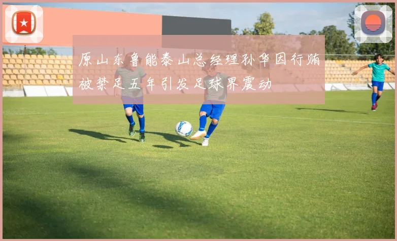 原山东鲁能泰山总经理孙华因行贿被禁足五年引发足球界震动